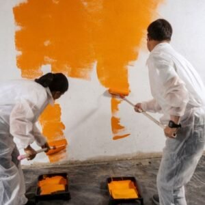 Pintura Profesional Antihumedad – Pared Firme